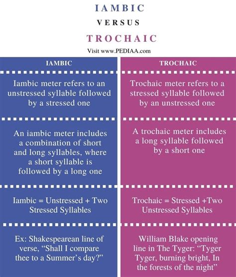 iambic vs trochaic.